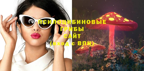 кокаин премиум Дмитриев