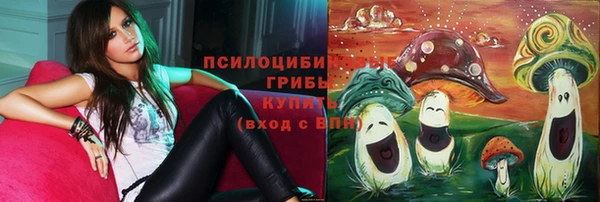 синтетический гашиш Алексеевка