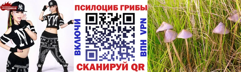 Псилоцибиновые грибы GOLDEN TEACHER  наркошоп  Тавда 