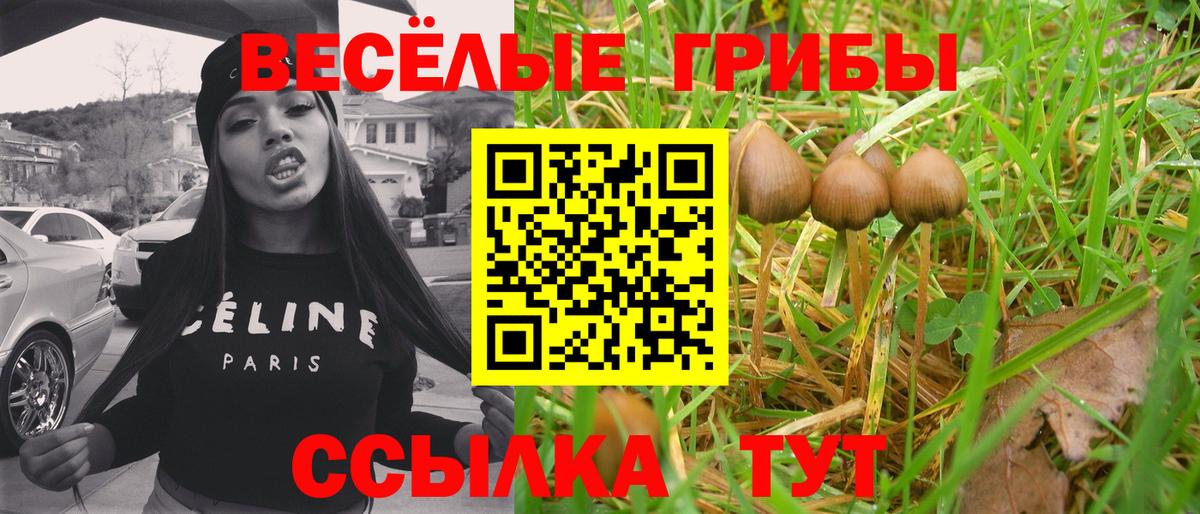 Тавда  даркнет сайт  Вход с VPN  Галлюциногенные грибы ЛСД 
