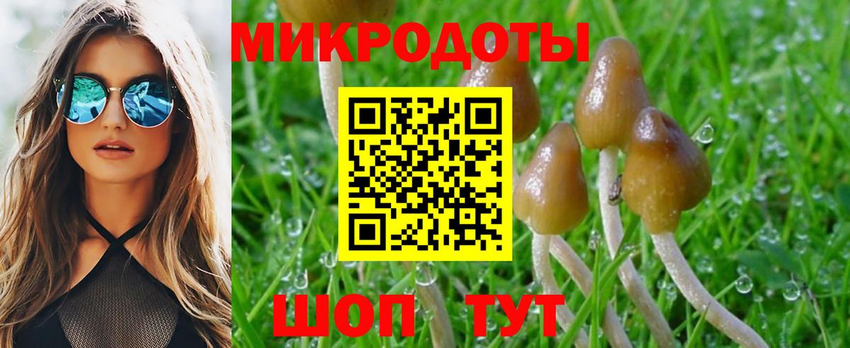 Галлюциногенные грибы прущие грибы Тавда