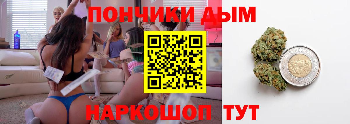 Каннабис индика Тавда